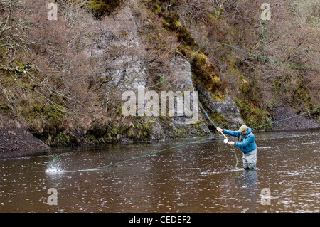 Pêcheur à la mouche dans la rivière Oykel, Sutherland, Scotland, UK Banque D'Images