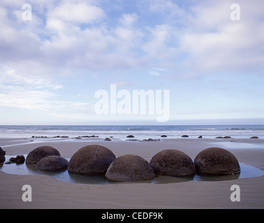 Les Moeraki Boulders sur Koekohe Plage, Moeraki, North Otago, Région de l'Otago, île du Sud, Nouvelle-Zélande Banque D'Images