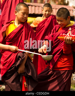 Les moines bouddhistes dans un Losar cérémonie, Sikkim, Inde Banque D'Images