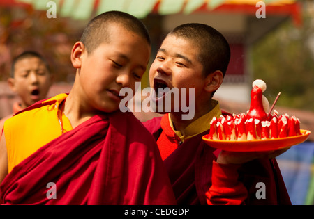 Les moines bouddhistes dans un Losar cérémonie, Sikkim, Inde Banque D'Images