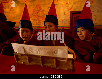 Les moines bouddhistes dans un Losar chantant dans un monastère au Sikkim, Inde Banque D'Images