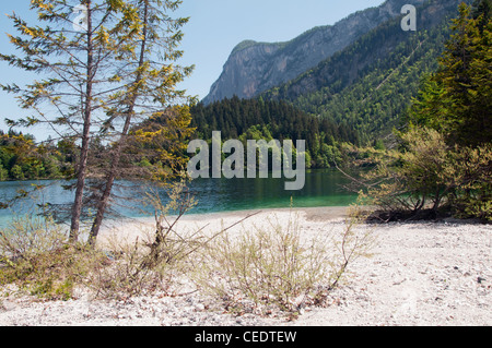 L'Italie, Trentin-Haut-Adige, Parc Naturel Adamello Brenta, lac Tovel Banque D'Images