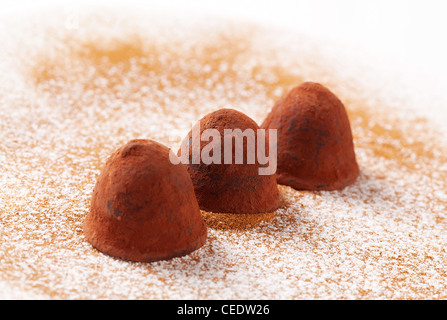 Truffes au chocolat enrobées de poudre de cacao Banque D'Images