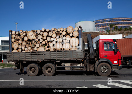 Bois de sciage chargé de camion et d'eucalyptus ; camions forestiers au port commercial de Caniçal, à Madère. Services d'expédition de fret et de remorque de fret pour l'exportation. Banque D'Images