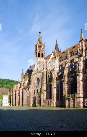 Fribourg, Münster Unserer Lieben Frau Banque D'Images