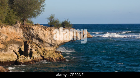 Lithified falaise sur la côte sud de Kauai qui surplombait l'océan Banque D'Images