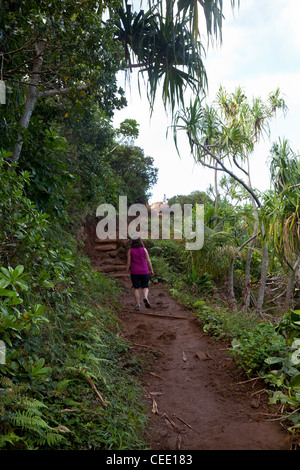 Femme seule sur le long sentier Kalalau walker côte de Na Pali Kauai Hawaii Banque D'Images