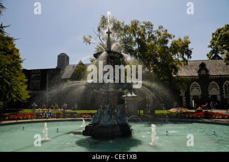 Le paon fontaine dans les jardins botaniques de Hagley Park à Christchurch, Nouvelle-Zélande Banque D'Images