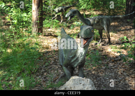 Les Velociraptors dans un paysage de forêt Banque D'Images