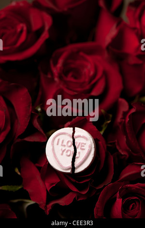 Que je t'aime Love Heart sweet assis sur des roses rouges Banque D'Images