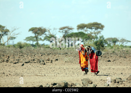 Les femmes masaï portant de l'eau, le Parc national Amboseli, Kenya, Afrique de l'Est. Banque D'Images