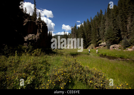 La région de la rivière Jemez à partir de la route 4 dans Jemez Mountains Banque D'Images