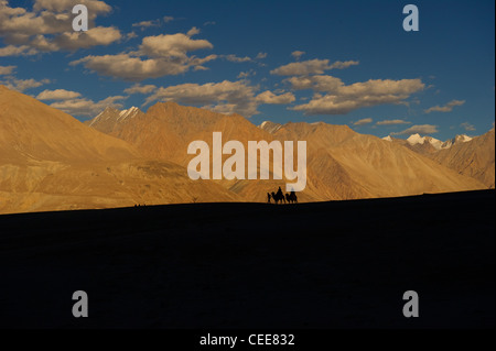 Caravane dromadaire au paysage de la vallée de Nubra Ladakh Banque D'Images
