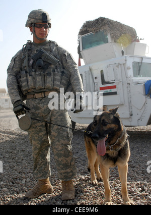 Le sergent-major de l'armée. marcelo Figueroa, un conducteur de chien de travail militaire affecté au bureau du grand prévôt au camp Victory à Baghdad, attend avec son berger allemand, lasso pour commencer une mission d'échange d'armes et cache le 13 juin dans les environs de doura. Le sergent figueroa est avec la garde nationale de Caroline du Nord, une société du 252ème bataillon interarmes, 30e brigade combat team lourd. Banque D'Images