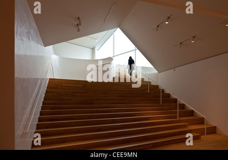 Weil am Rhein, Vitra-Gelände, VITRAHAUS, und Herzog de Meuron, 2010 Innentreppe Banque D'Images