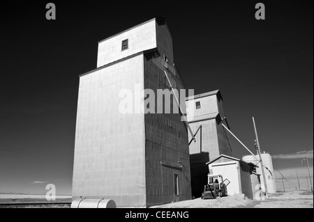 L'élévateur à grain recto verso en métal dans le nord du Montana. Banque D'Images