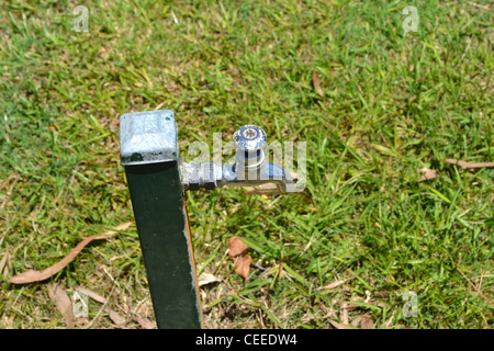 D'un robinet à un parc (robinet) Banque D'Images