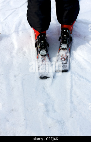 Les jambes d'un skieur de noir et rouge pantalon de ski chaussures de ski sur les pistes, vus de derrière. Banque D'Images