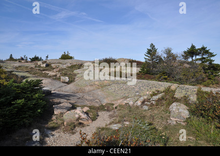 Cadillac Mountain, parc national d'Acadia, Mount Desert Island, Maine, USA Banque D'Images