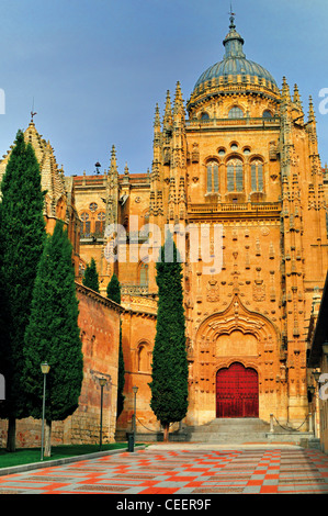 L'Espagne, Salamanque : vue sur le portail latéral de la Cathédrale Banque D'Images