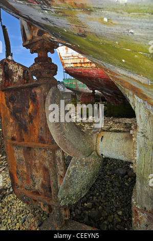 Hélice et gouvernail en bois de l'épave de bateau de pêche chalutier dans le port de Camaret-sur-Mer, Finistère, Bretagne, France Banque D'Images