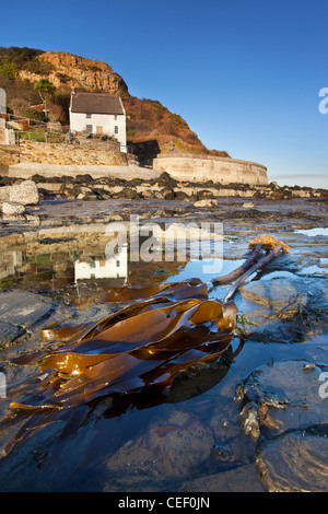 Cottage au toit de chaume abrité par Lingrow Knowle à Runswick Bay, North Yorkshire, UK Banque D'Images