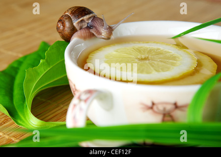 Tasse de thé vert avec du citron Banque D'Images