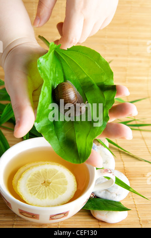 Tasse de thé vert avec du citron Banque D'Images