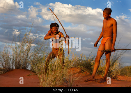 Bushman du Kalahari, tirant la chasse au cours de la flèche Banque D'Images