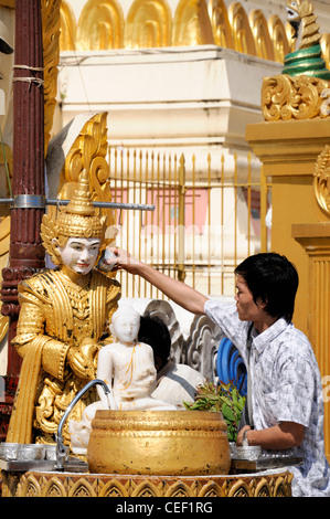 Fervent pèlerin pour verser de l'eau faisant offrande à la statue de Bouddha de la pagode Shwedagon myanmar post planétaire Banque D'Images