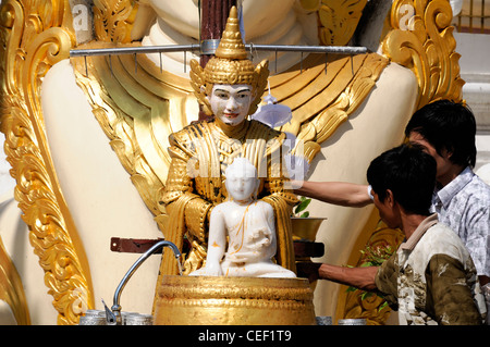 Fervent pèlerin pour verser de l'eau faisant offrande à la statue de Bouddha de la pagode Shwedagon myanmar post planétaire Banque D'Images