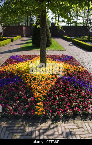 Jardin formel avec des haies de buis et les violettes au printemps - arrangement vertical image Banque D'Images