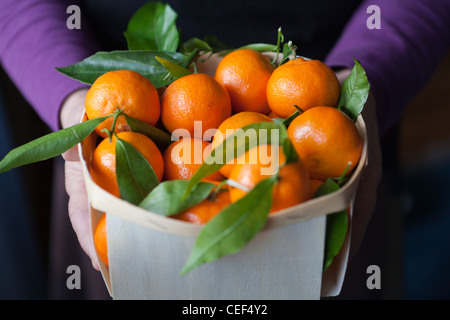 Panier plein de la clémentine Banque D'Images