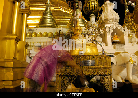 Fervent pèlerin pour verser de l'eau faisant offrande à la statue de Bouddha de la pagode Shwedagon post planétaire myanmar nuit nuit Banque D'Images