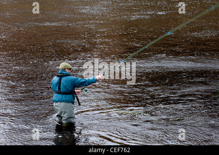 L'homme à la pêche au saumon dans la rivière Oykel, Sutherland, Scotland, UK Banque D'Images