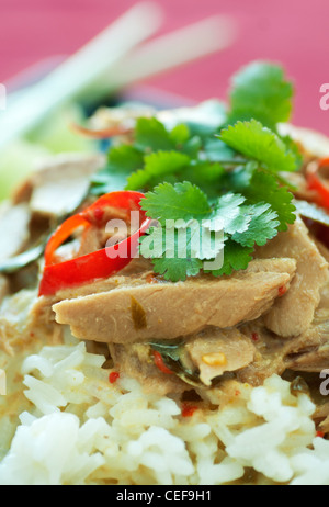 Thon au curry vert thaï avec du riz Jasmin blanc et coriandre fraîche Banque D'Images