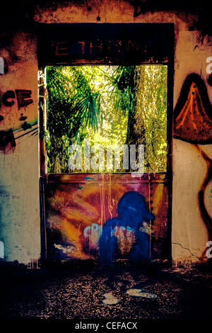 Une ancienne chambre de graffiti et une fenêtre dans une jungle de palmiers sauvages Banque D'Images