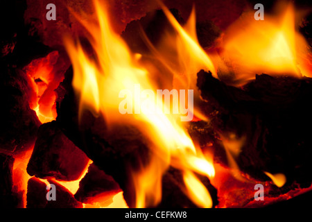 Flammes dans un feu de charbon Banque D'Images