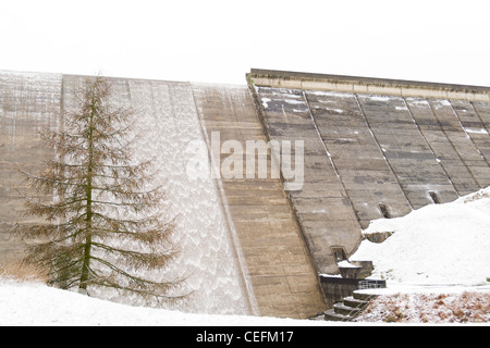 Bois stand réservoir, Yorkshire Banque D'Images