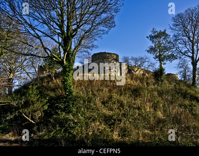 Aberlleiniog Château, llangoed, Anglesey. Récemment restauré, il y a eu un fort sur ce site depuis Norman times Banque D'Images