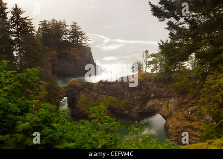 Arche naturelle, côte de l'Oregon, Samuel H Boardman State Park, Oregon, USA Banque D'Images