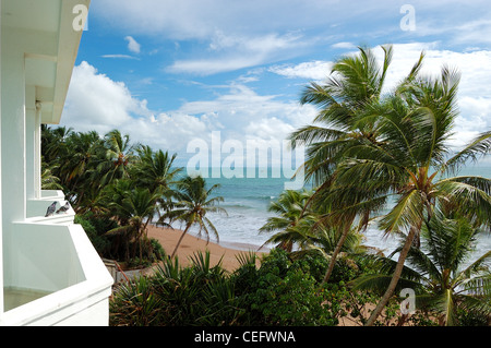 Plage et l'eau turquoise de l'Océan Indien, Bentota, Sri Lanka Banque D'Images