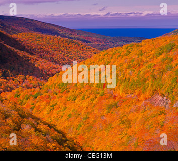 L'automne à la Cabot Trail in Cape Breton Highlands National Park sur l'île du Cap-Breton dans le nord de la Nouvelle-Écosse, Canada. Banque D'Images