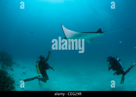 Scuba Diver prises photo de Manta, Manta birostris, Hanifaru Bay, l'atoll de Baa, Maldives Banque D'Images