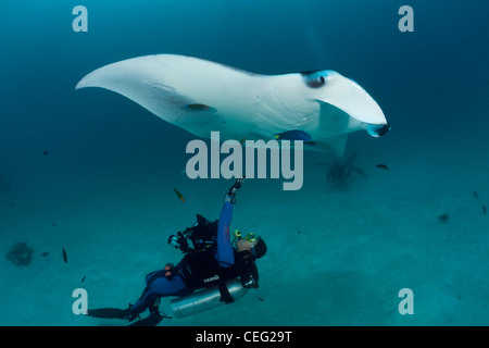 Manta et scuba diver, Manta birostris, Hanifaru Bay, l'atoll de Baa, Maldives Banque D'Images