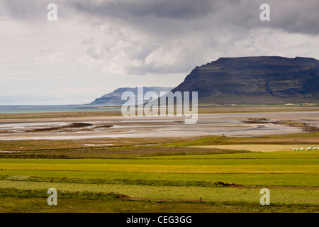 Green farm, vestfjords en arrière-plan gros raidillons pierreux - Islande Banque D'Images