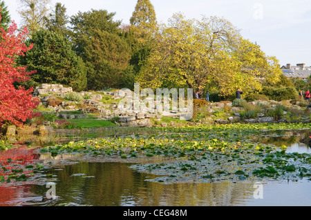 Lac en forme de U dans le Jardin botanique de l'Université de Cambridge, Cambridge, UK Banque D'Images