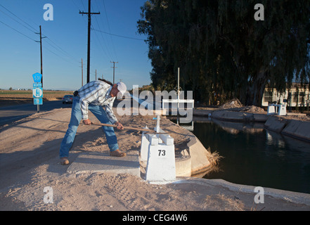 Le brocoli dans champ ouvriers agricoles irrigue Imperial Valley Banque D'Images