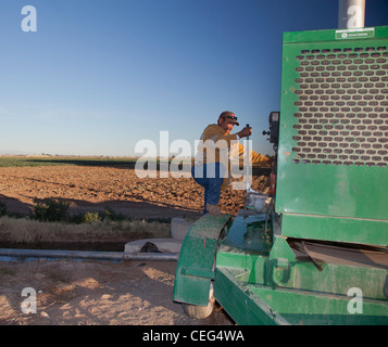 Le brocoli dans champ ouvriers agricoles irrigue Imperial Valley Banque D'Images