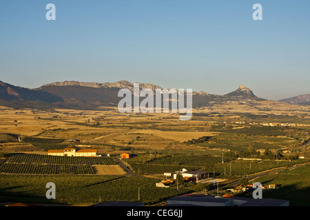 L'Alava, Laguardia, Alava, Espagne, les champs et vignobles qui entourent l'aéroport Laguardia sont dominées par les montagnes Sierra Cantabria Banque D'Images